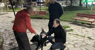 Έλεγχοι σε ιδιοκτήτες δεσποζόμενων ζώων στη Θεσσαλονίκη - Πρόστιμα έως 1.000 ευρώ