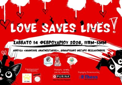 «Η αγάπη σώζει ζωές» - εκδήλωση στο Δημαρχείο Θεσσαλονίκης