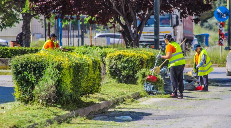 Δράση συντήρησης πρασίνου στις Κοινότητες του Δήμου Δέλτα – Ξεκίνημα από τη Σίνδο (pics)