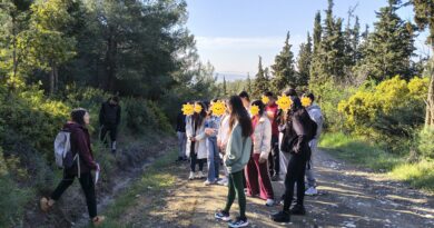Μαθητές Λυκείων ανακάλυψαν τους «θησαυρούς» του Δασοκτήματος Ωραιοκάστρου μέσα από εκπαιδευτική δράση