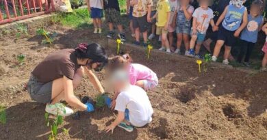 Δ. Ωραιοκάστρου: Παιδιά δημιούργησαν λαχανόκηπους σε παιδικούς σταθμούς