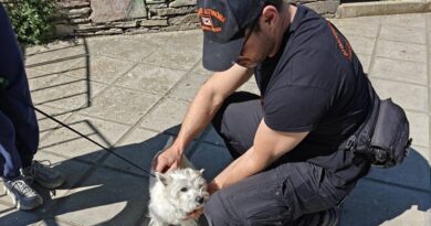Έλεγχοι σε ιδιοκτήτες δεσποζόμενων ζώων στη Θεσσαλονίκη - Πρόστιμα έως 1.000 ευρώ
