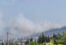 Εντοπίστηκε σορός σε δασική έκταση στο Δερβένι (pic)