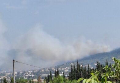 Εντοπίστηκε σορός σε δασική έκταση στο Δερβένι (pic)