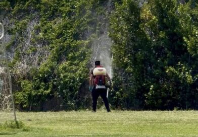 Ο Δήμος Δέλτα στη μάχη κατά των κουνουπιών