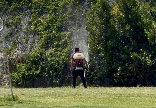 Ο Δήμος Δέλτα στη μάχη κατά των κουνουπιών