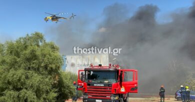 Μεγάλη φωτιά στο Καλοχώρι - Καίγεται επιχείρηση, ήχησε το 112 (vid)