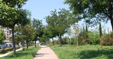 Δ. Ελευθερίου Κορδελιού – Ευόσμου: Σε εξέλιξη το πρόγραμμα δενδροφυτεύσεων – Πάνω από 300 δέντρα και θάμνοι φυτεύτηκαν το τελευταίο διάστημα
