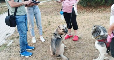 Έλεγχοι σε ιδιοκτήτες ζώων στη Θεσσαλονίκη - Πρόστιμα έως και 1.000 ευρώ