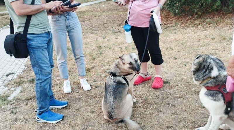Έλεγχοι σε ιδιοκτήτες ζώων στη Θεσσαλονίκη - Πρόστιμα έως και 1.000 ευρώ