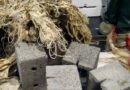 Τσιμεντόλιθοι και χιλιάδες πλαστικά σχοινάκια γεμίζουν τις ελληνικές θάλασσσες ως παράνομα απόβλητα της αλιείας