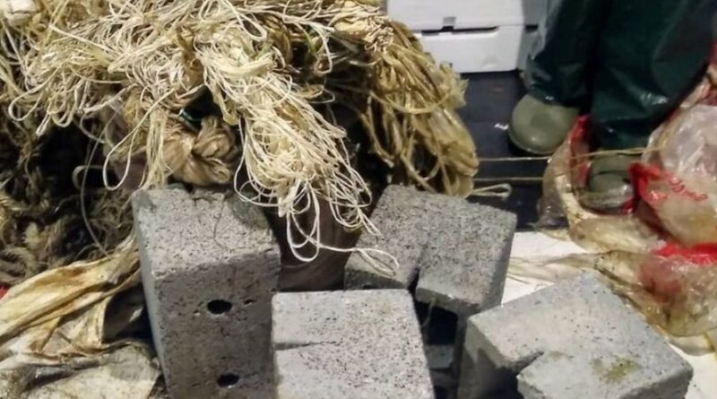 Τσιμεντόλιθοι και χιλιάδες πλαστικά σχοινάκια γεμίζουν τις ελληνικές θάλασσσες ως παράνομα απόβλητα της αλιείας